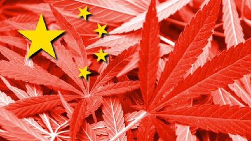 китайская марихуана